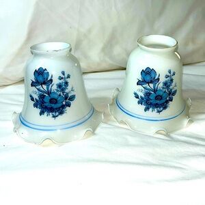 Pair of Glass Light Globes Blue Flower Print